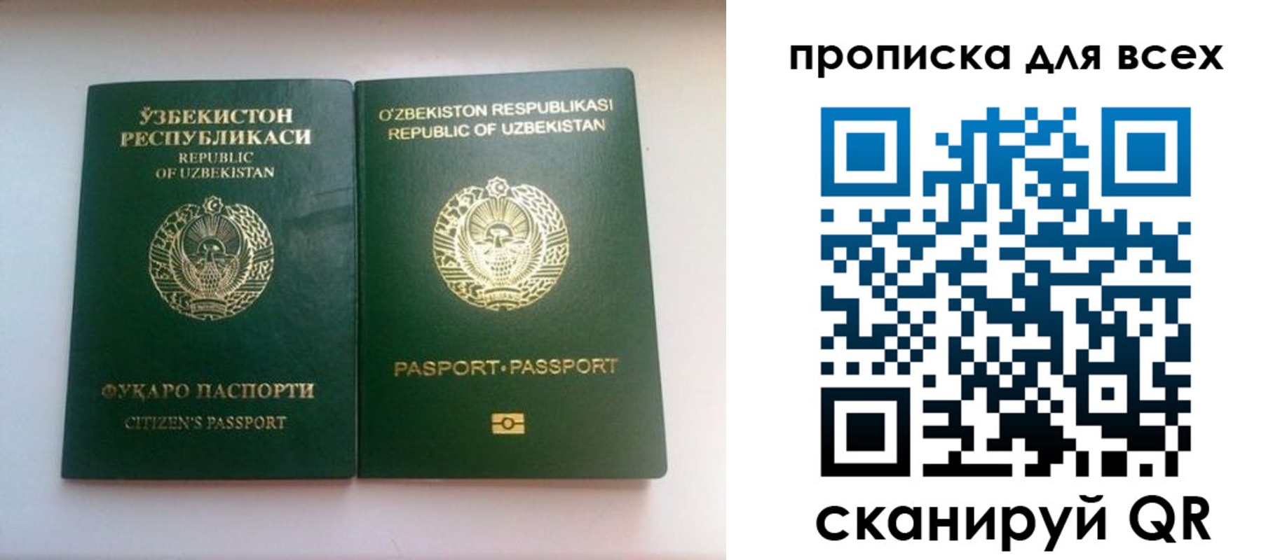 прописка для школы в Рошале